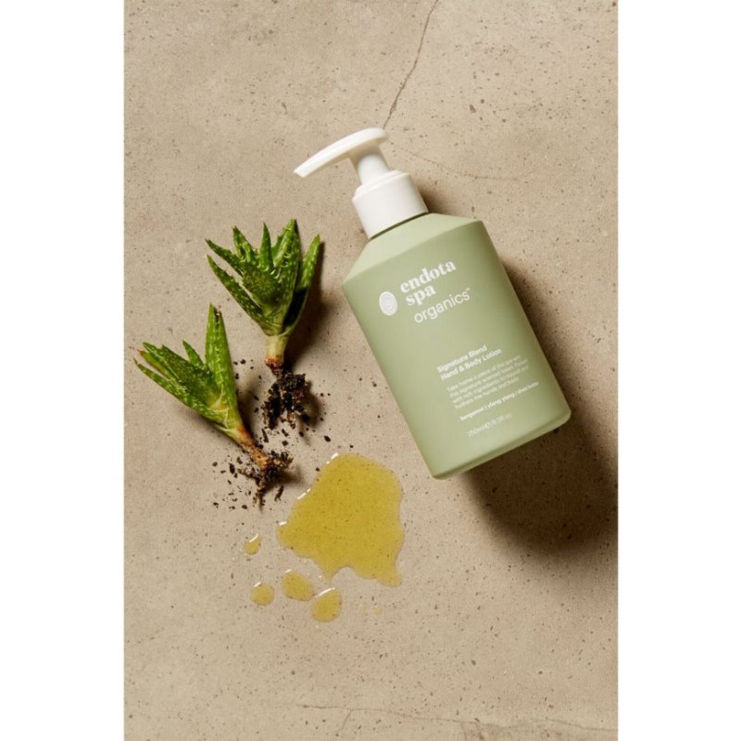 Endota Signature Blend Hand Cream and Mint Foot Cream