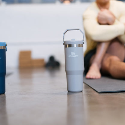 Stanley 1913 The IceFlow™ Flip Straw 2.0 30 OZ Tumbler - Ash