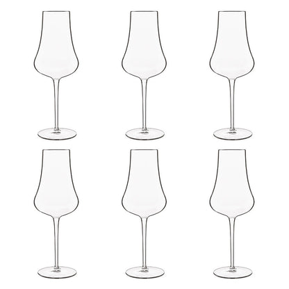 Luigi Bormioli Tentazioni Prosecco Tester Glasses  6 Pack 420ml