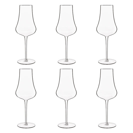 Luigi Bormioli Tentazioni Prosecco Tester Glasses  6 Pack 420ml